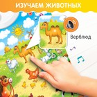 Говорящий электронный плакат «Моя ферма», работает от батареек - Фото 4