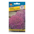 Семена Тимьян ползучий, 0.05 г, «Престиж семена» - Фото 1