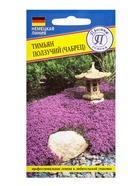 Семена Тимьян ползучий, 0.05 г, «Престиж семена» - Фото 3