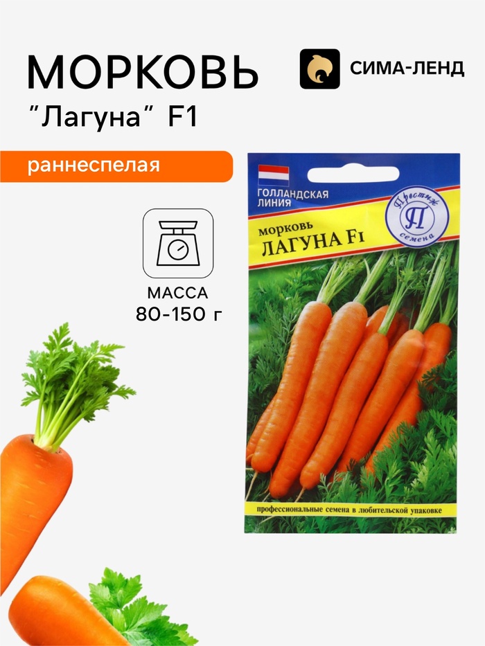 Семена на ленте Морковь «Лагуна» F1, 6 м, «Престиж семена» - Фото 1