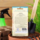 Семена Морковь "Лагуна" F1, лента 6 м - Фото 6