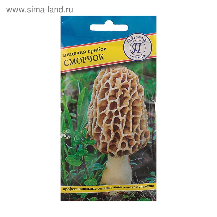 Мицелий грибов Сморчок, 60 мл - Фото 1