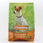Сухой корм Chammy для собак мелких пород, мясное ассорти, 600 г - фото 9747371