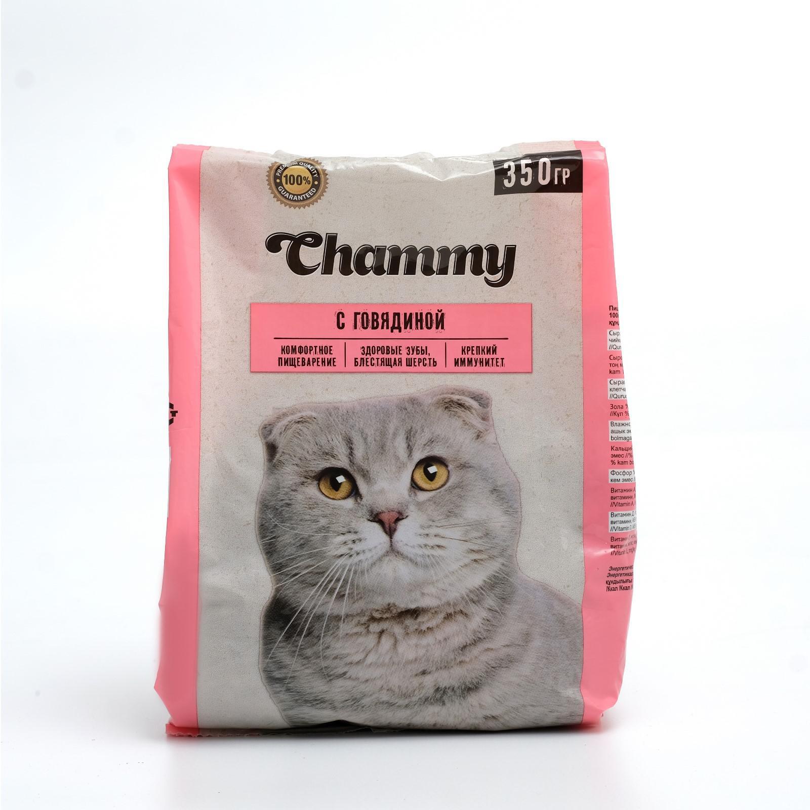 Сухой корм Chammy для кошек, говядина, 350 г (4129186) - Купить по цене от  51.00 руб. | Интернет магазин SIMA-LAND.RU