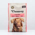 Сухой корм Chammy для собак мелких пород, говядина, 600 г - фото 1061651