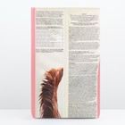 Сухой корм Chammy для собак крупных пород, говядина, 12 кг - Фото 2