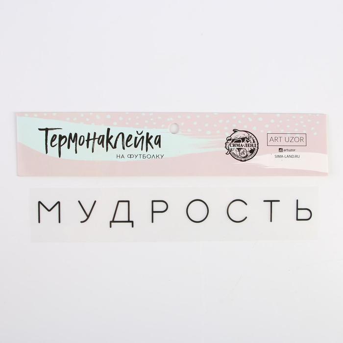 Термонаклейка для текстиля «Мудрость», 19.5 × 2 см - Фото 1