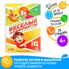 Книга-игра «Чем занять ребёнка? Весёлые лабиринты», А5, 26 страниц, 4+ - фото 2990456