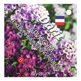 Семена цветов Алиссум 'Ежевичные меренги', О, DARIT  0,2 г