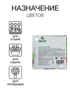 Семена цветов Пеларгония "Кабаре" смесь, Мн, DARIT, F2, 4 шт. - Фото 3