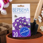 Семена цветов Вербена "Слезы Изиды" низкорослая, О, 7 шт - Фото 3