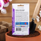 Семена цветов Вербена "Слезы Изиды" низкорослая, О, 7 шт - Фото 4