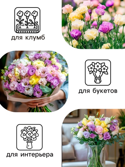 Семена цветов Эустома «Супер Мэджик», F1, смесь, 8 шт., DARIT, «Агроуспех»