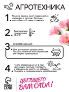 Семена цветов Эустома "Супер Мэджик" F1 смесь, О, DARIT 8 шт - Фото 4