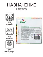 Семена цветов Гайлардия "Лоллипап", 0,1 г (комплект 2 шт) - фото 33044524