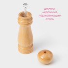 Мельница для специй Доляна «Дуновение леса», 17×4.5 см, керамический механизм, бежевая - Фото 2