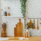 Мельница для специй Доляна «Дуновение леса», 17×4.5 см, керамический механизм, бежевая - Фото 7