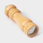 Мельница для специй Доляна «Дуновение леса», 17×4.5 см, керамический механизм, бежевая - Фото 6