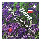 Семена цветов Лаванда узколистная "Прованс", Мн, DARIT 0,1 г - Фото 1