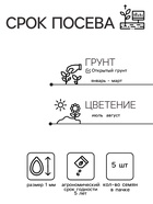 Семена цветов Ранункулюс "Блюмингдейл", 5 шт. - Фото 2