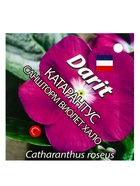 Семена цветов Катарантус Саншторм "Виолет Хало", О, 10 шт - фото 69090287