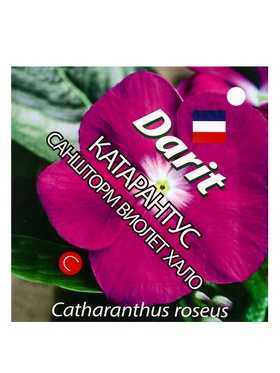 Семена цветов Катарантус Саншторм "Виолет Хало", О, 10 шт