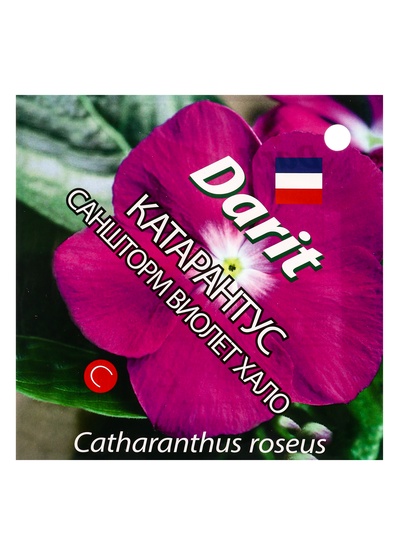 Семена цветов Катарантус Саншторм "Виолет Хало", О, 10 шт