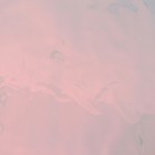 Плёнка иридисцентная "Розовое облако", 0,5 х 5 м - Фото 3