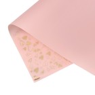 Плёнка матовая с рисунком "Амур", цвет персиковый, 60 х 60 см - Фото 4