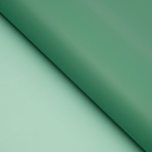 Пленка матовая для цветов, двухсторонняя "Веста", зелёный, 0,6 х 0,6 м - фото 319700220