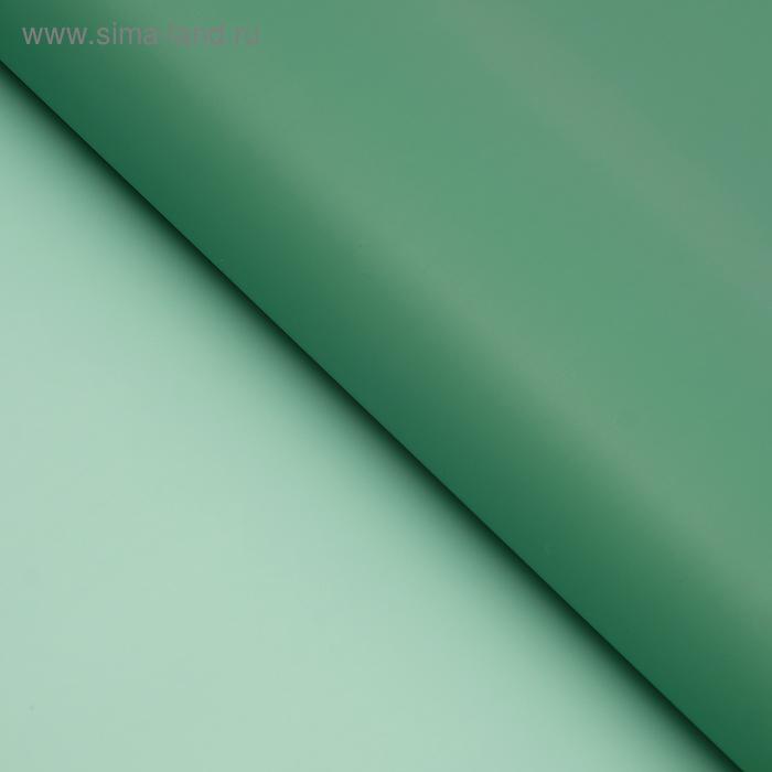 Пленка матовая для цветов, двухсторонняя «Веста», зелёный, 57×57±5% см - Фото 1