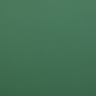 Пленка матовая для цветов, двухсторонняя «Веста», зелёный, 57×57±5% см - Фото 2