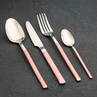 Набор столовых приборов из нержавеющей стали Magistro «Версаль», 4 предмета, цвет ручек розовый - Фото 1