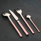 Набор столовых приборов из нержавеющей стали Magistro «Версаль», 4 предмета, цвет ручек розовый - Фото 3