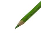 Карандаши Koh-I-Noor 3595 «Динозавр», 36 цветов, картонная упаковка - Фото 2