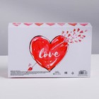 Коробка‒книга, упаковка подарочная, «Love», 20 х 12.5 х 5 см 3847839 - фото 16917677