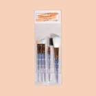 Набор кистей для макияжа «Конус», 5 предметов, МИКС - Фото 8