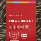 Пряжа "Деревенька" 100% шерсть 170м/100гр (5071 мулине коричнев) - Фото 3