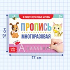Пропись многоразовая «Я пишу печатные буквы», 12 стр., с маркером - Фото 2