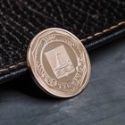 Сувенирная монета «Тюмень», d= 2.2 см - Фото 2