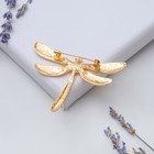 Брошь «Стрекоза», цвет золота - Фото 4