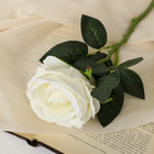Цветы искусственные "Роза венесуэльская" 8х23 см, белый - фото 320137607