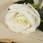 Цветы искусственные "Роза венесуэльская" 8х23 см, белый - фото 8439238