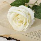 Цветы искусственные «Роза боливийская» 8х55 см, белый - Фото 2