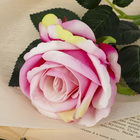 Цветы искусственные "Роза венесуэльская" 8х23 см, розовый - фото 8439244