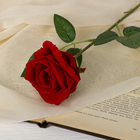 Цветы искусственные «Роза боливийская» 8х55 см, красный - фото 318154327
