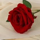 Цветы искусственные 'Роза боливийская' 7,5 55 см, красная - фото 809130940