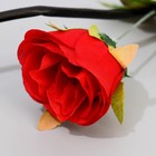 Декор тинги "Розы с шариками" 150 см, (фасовка 5 шт, цена за 1шт) микс - Фото 3