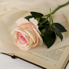 Цветы искусственные "Роза венесуэльская" 8х23 см, персиковый - фото 8439245