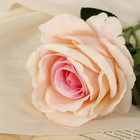 Цветы искусственные "Роза венесуэльская" 8х23 см, персиковый - фото 8439246